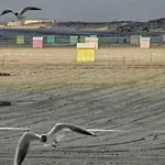 Le Berckois Cosy Pour 2 Pers A 2 Minutes De La A Pied Apartament *