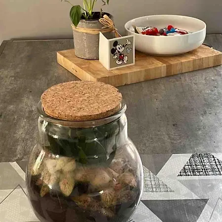 Appartement Le Berckois Cosy Pour 2 Pers à 2 Minutes De La à Pied