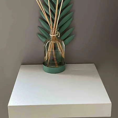 Le Berckois Cosy Pour 2 Pers à 2 Minutes De La à Pied Appartement Berck