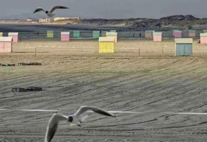 Le Berckois Cosy Pour 2 Pers à 2 Minutes De La à Pied Appartement *