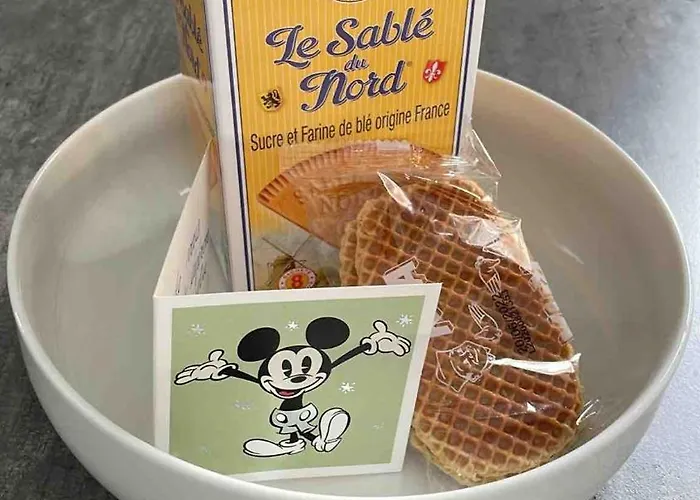 Appartement Le Berckois Cosy Pour 2 Pers à 2 Minutes De La à Pied Berck