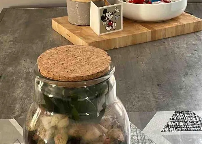 Appartement Le Berckois Cosy Pour 2 Pers à 2 Minutes De La à Pied