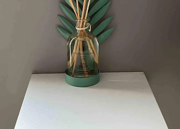 Le Berckois Cosy Pour 2 Pers à 2 Minutes De La à Pied Appartement Berck